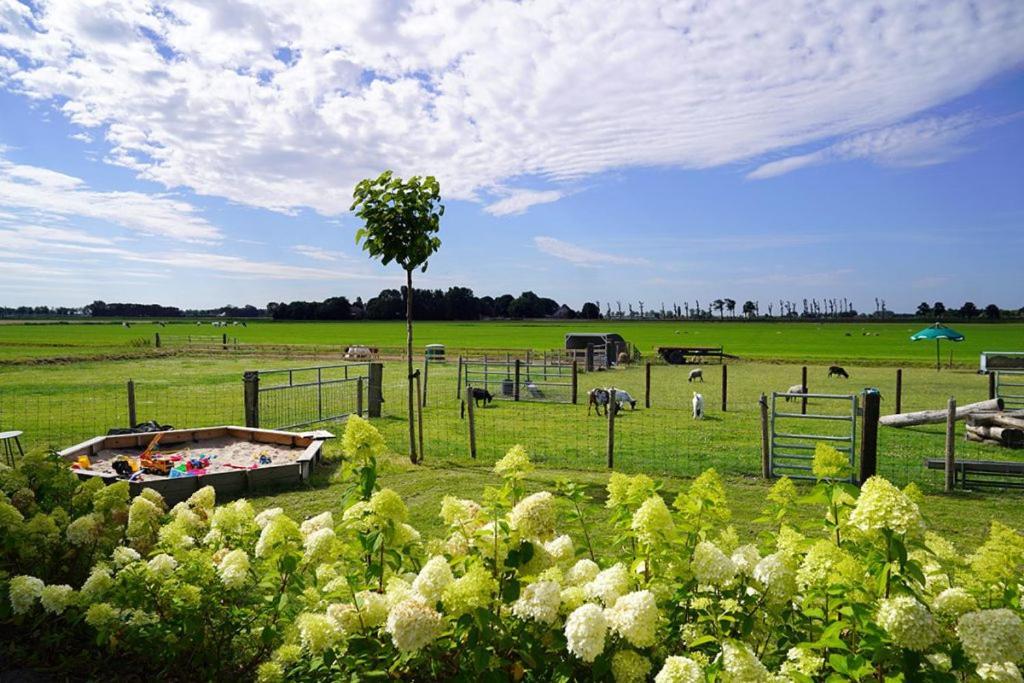 Vakantieboerderij Huize Nuis Noordbeemster Esterno foto